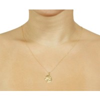 Pingente de ouro 18k cavalo foto no pescoco