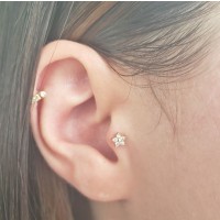 Piercing de ouro 18k reto flor 5 pedras tragus cartilagem