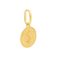 Pingente de ouro 18k profissão Veterinária Símbolo
