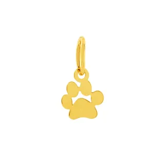 Pingente de Ouro 18k Pata Placa Pequena