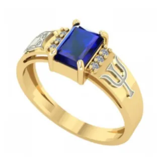 Anel de formatura psicologia ouro 18k IV 