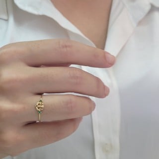 Anel de formatura nutrição ouro 18k verde