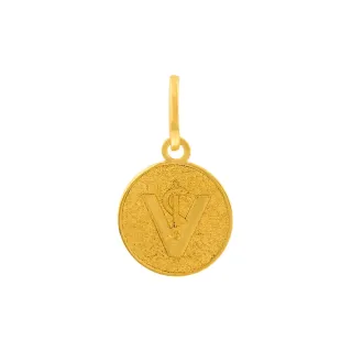Pingente de medicina veterinária ouro 18k fundo fosco